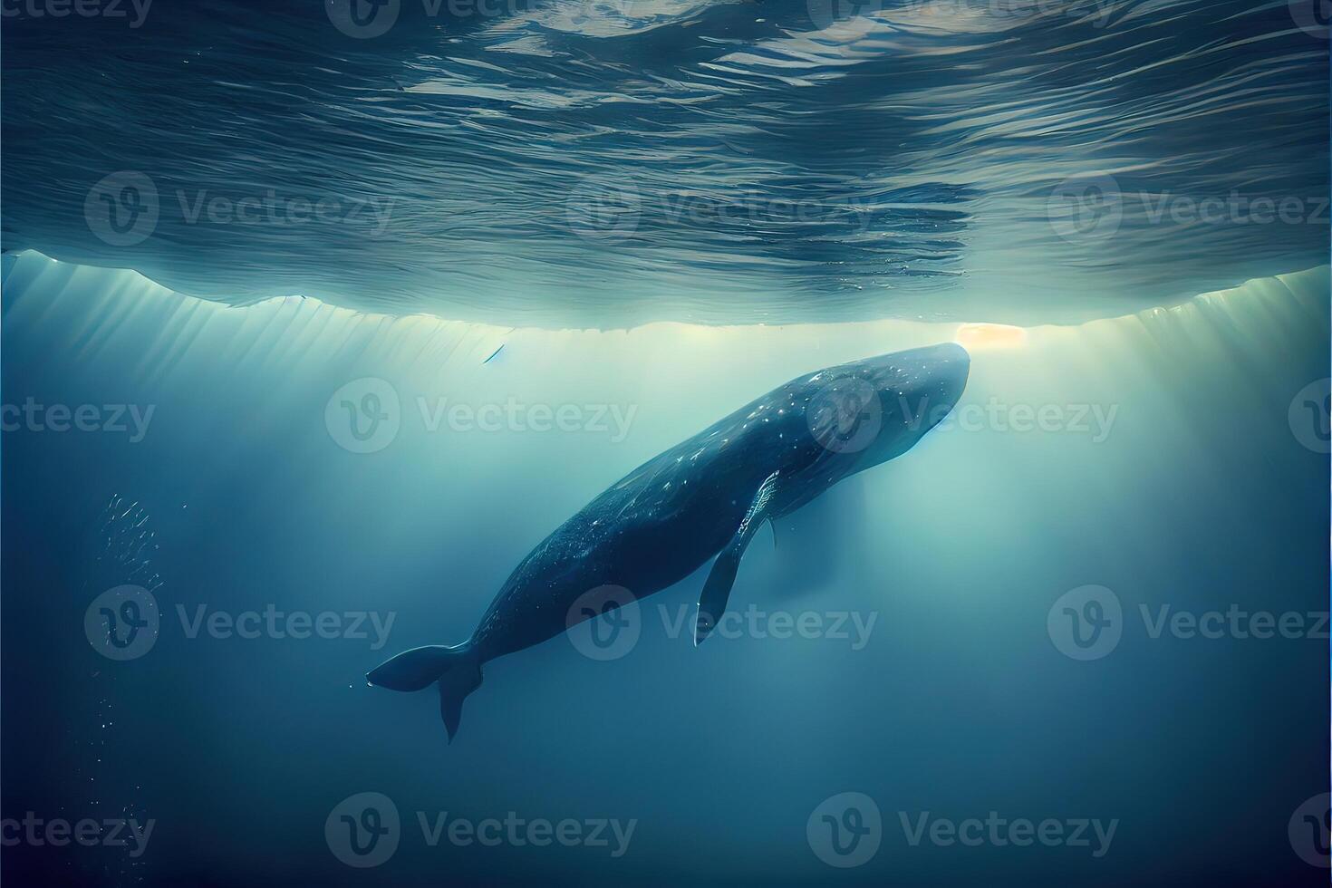 illustration of Blue whale under water, ocean photo