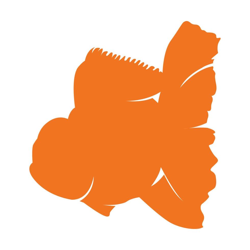 goldfish icon vector