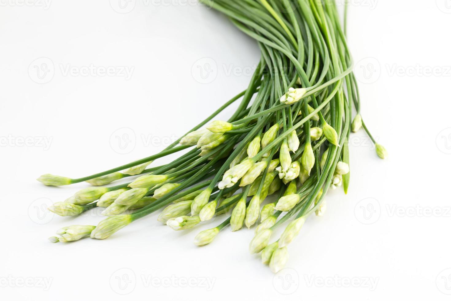 cebollín flor en blanco foto