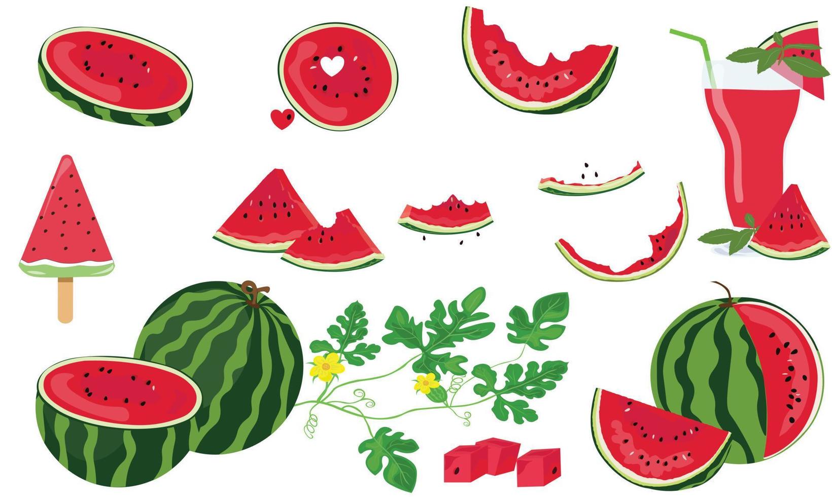 Watermelon vector set isolated on white background. Watermelon juice glass, watermelon icecream. Colection of watermelon includes  slice, rind, seed, flower, leaf,... Flat vector, cartoon style.