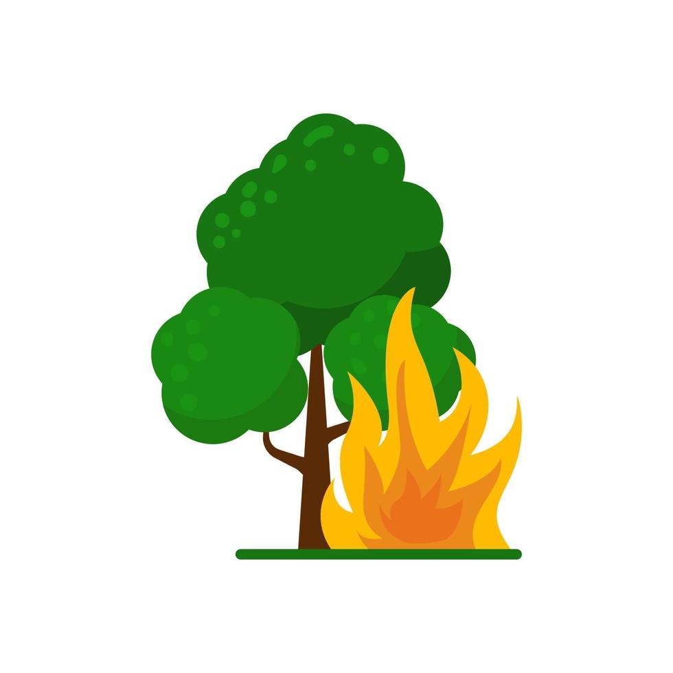 Forest fire icon with colorful design isolated on white background vector