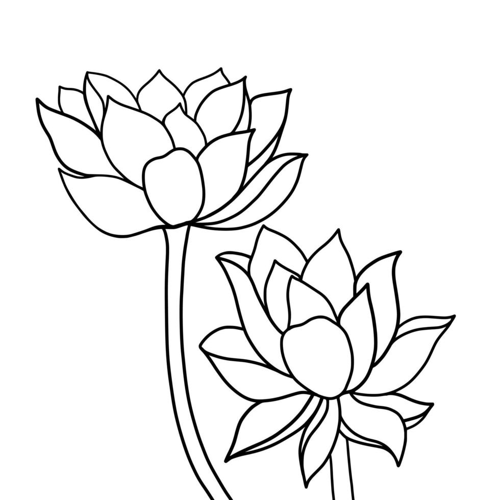 outline lotus flower isolated on white background. vector illustartion