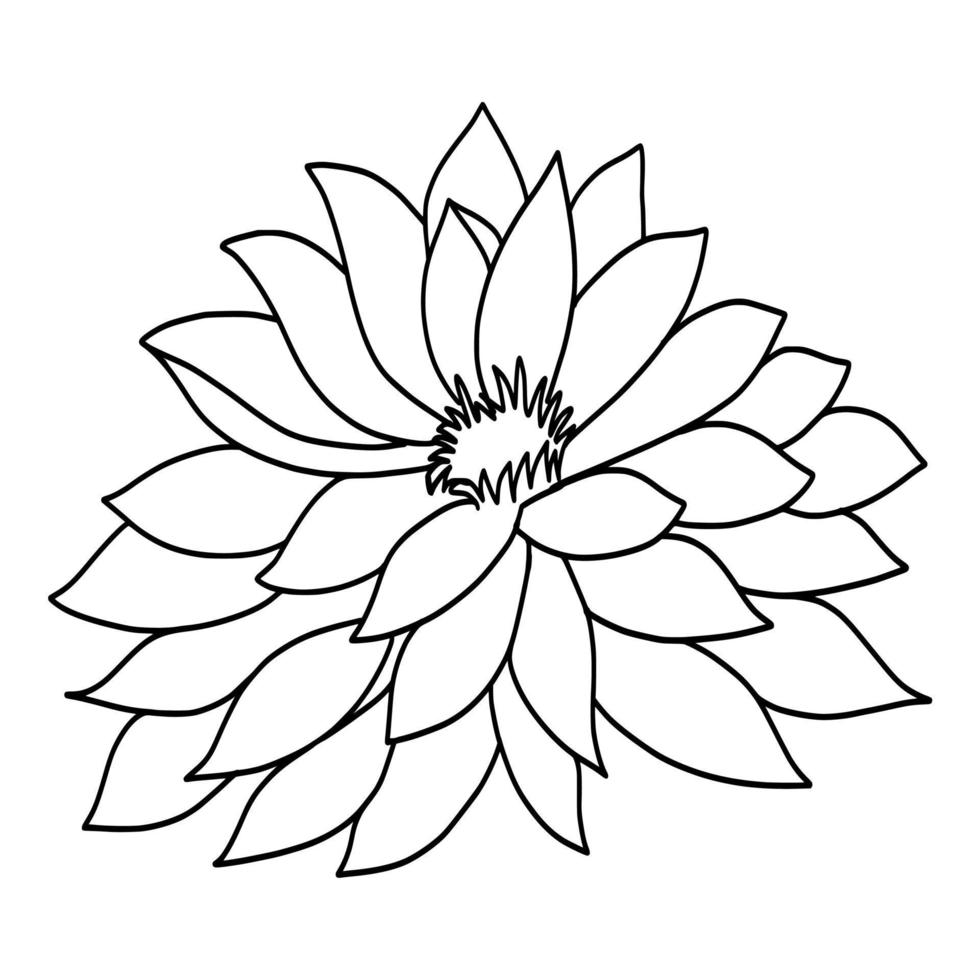 outline lotus flower isolated on white background. vector illustartion