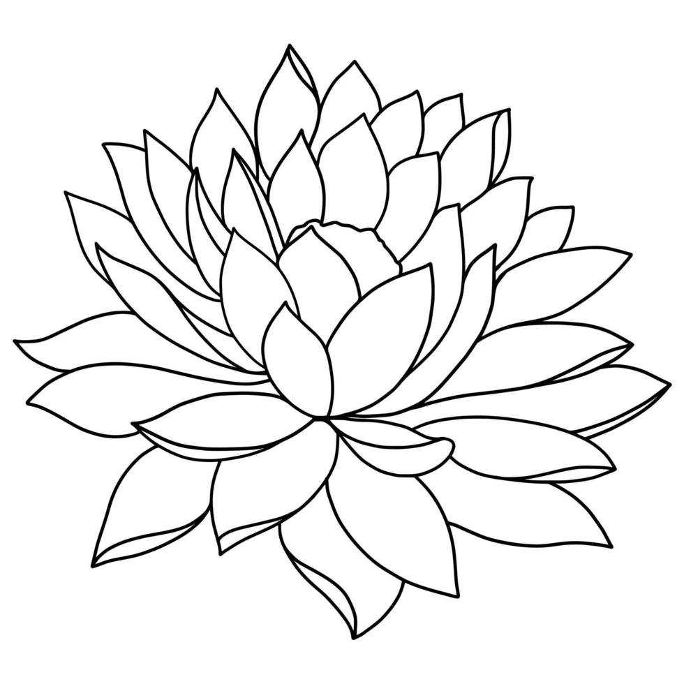 outline lotus flower isolated on white background. vector illustartion