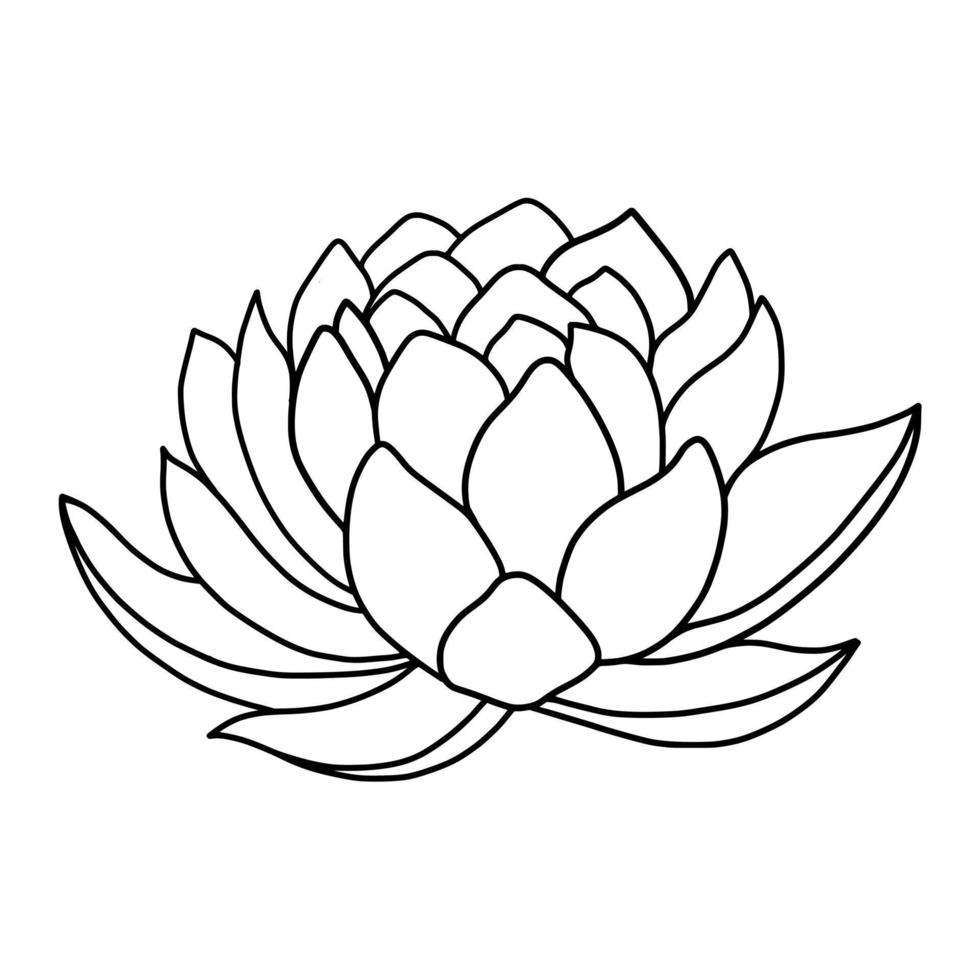 outline lotus flower isolated on white background. vector illustartion