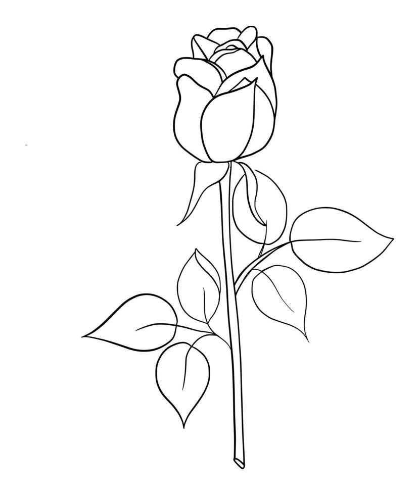 outline rose isolated on white background. vector illustartion