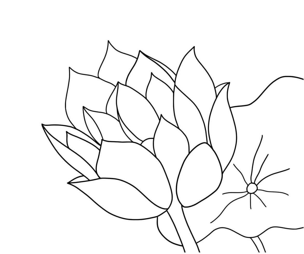 outline lotus flower isolated on white background. vector illustartion