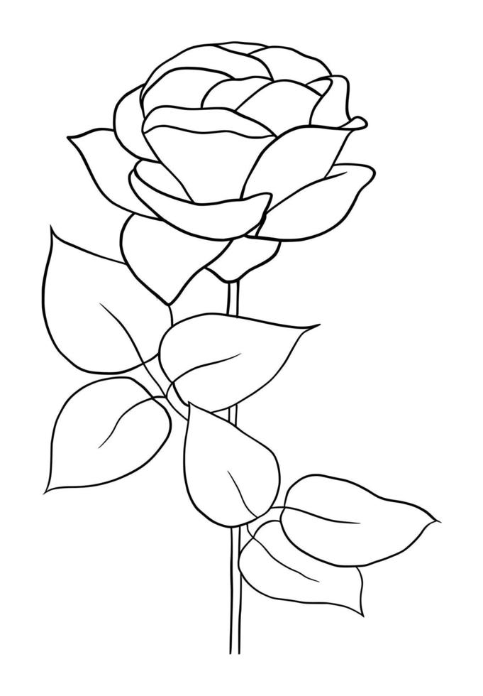 outline rose isolated on white background. vector illustartion