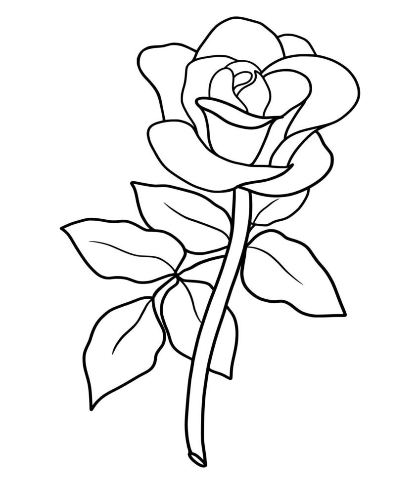 outline rose isolated on white background. vector illustartion 22662244 ...