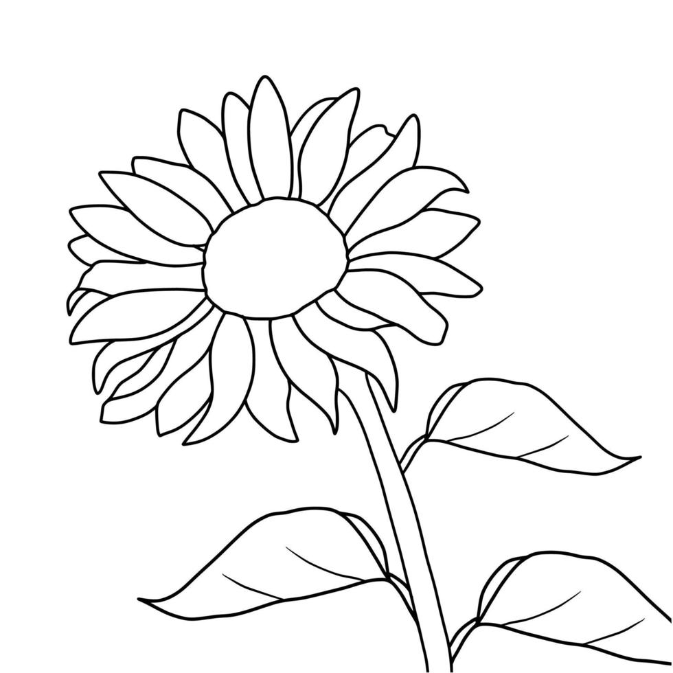 Outline sunflower isolated on white background. Vector illustartion.