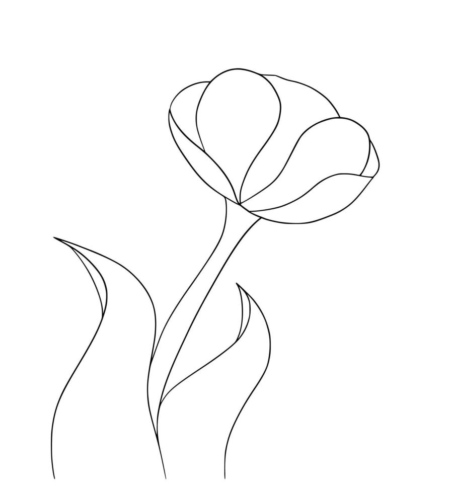 Outline tulip flower isolated on white background vector