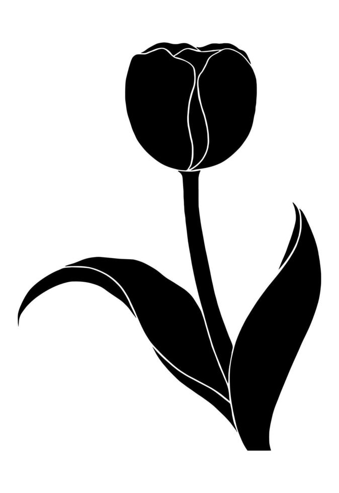 Tulip silhouette isolated on white background. Vector illustartion