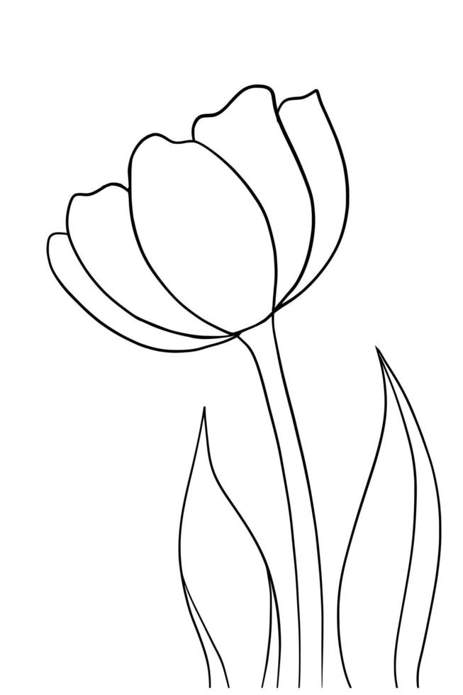 Outline tulip flower isolated on white background vector