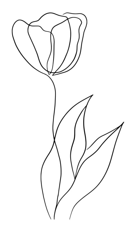 tulipanes línea Arte dibujo vector