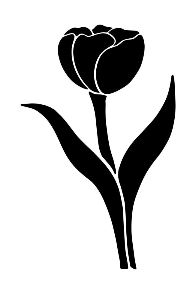 Tulip silhouette isolated on white background. Vector illustartion