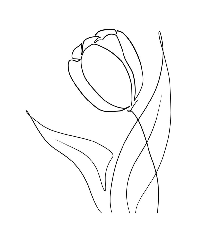 tulipanes línea Arte dibujo vector