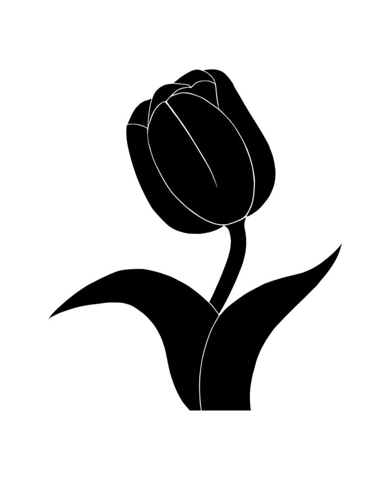 Tulip silhouette isolated on white background. Vector illustartion