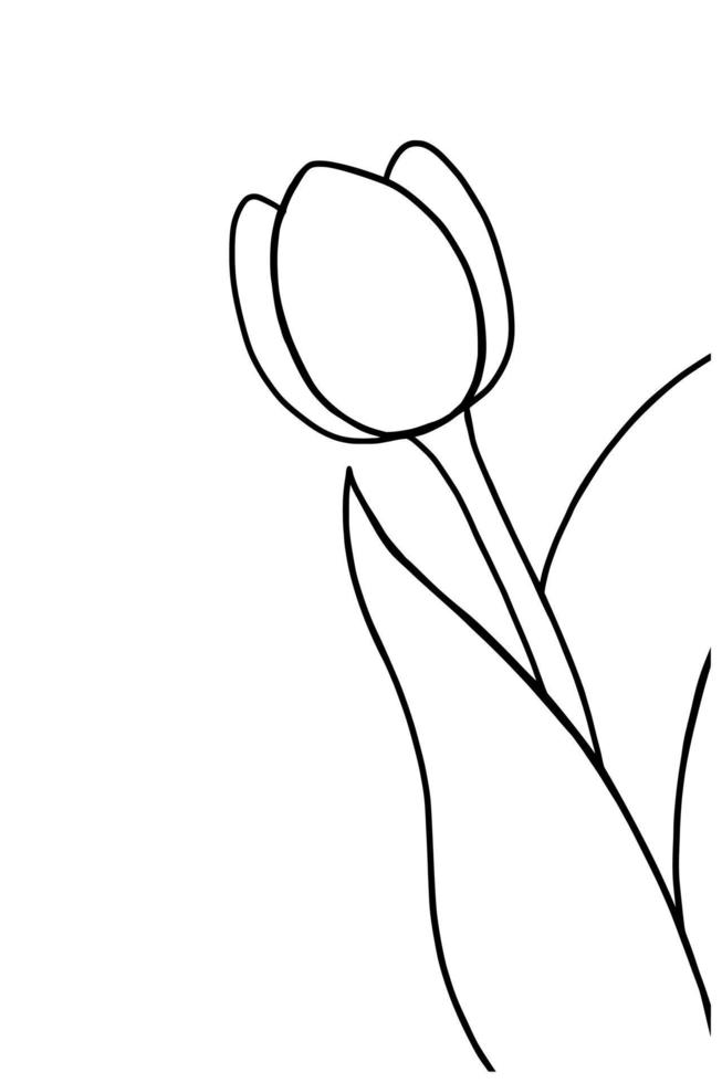 Outline tulip flower isolated on white background vector