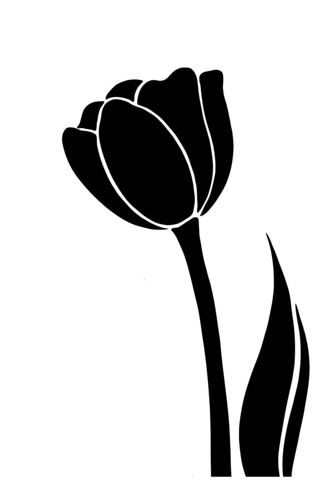 Tulip silhouette isolated on white background. Vector illustartion