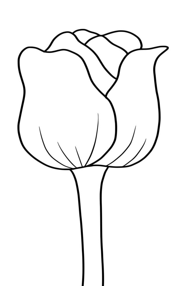 Outline tulip flower isolated on white background vector