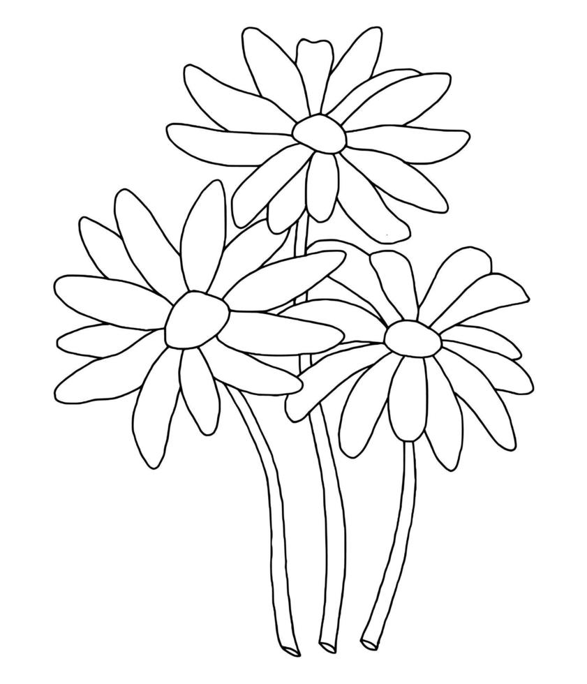 outline flower of daisy on white background vector