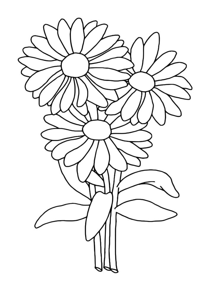 outline flower of daisy on white background vector