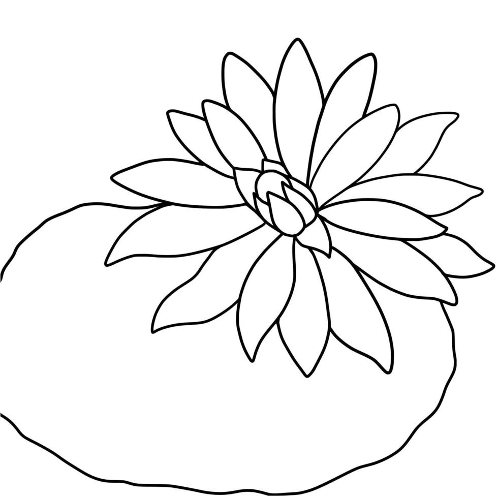 outline lotus flower isolated on white background. vector illustartion