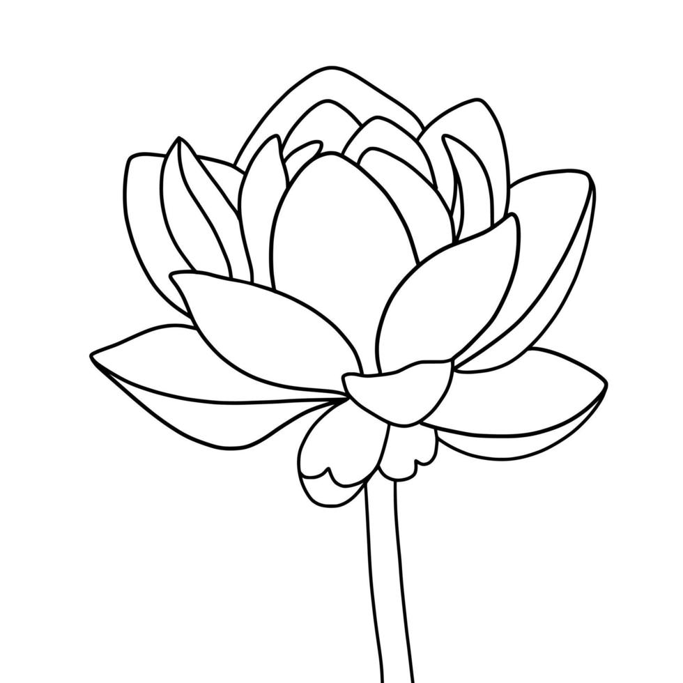 outline lotus flower isolated on white background. vector illustartion