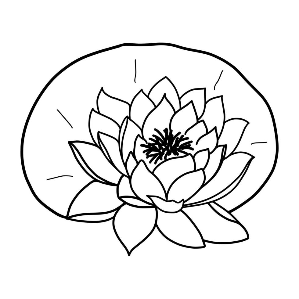 outline lotus flower isolated on white background. vector illustartion