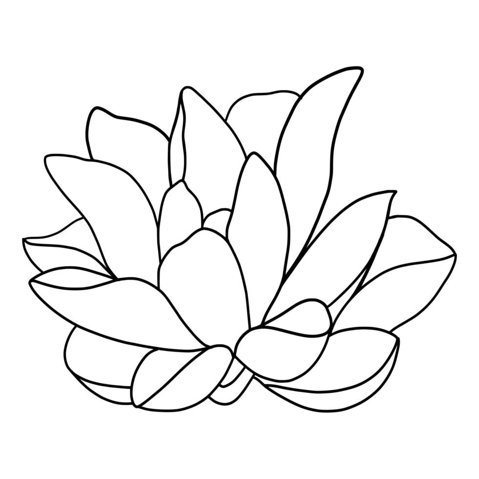 outline lotus flower isolated on white background. vector illustartion