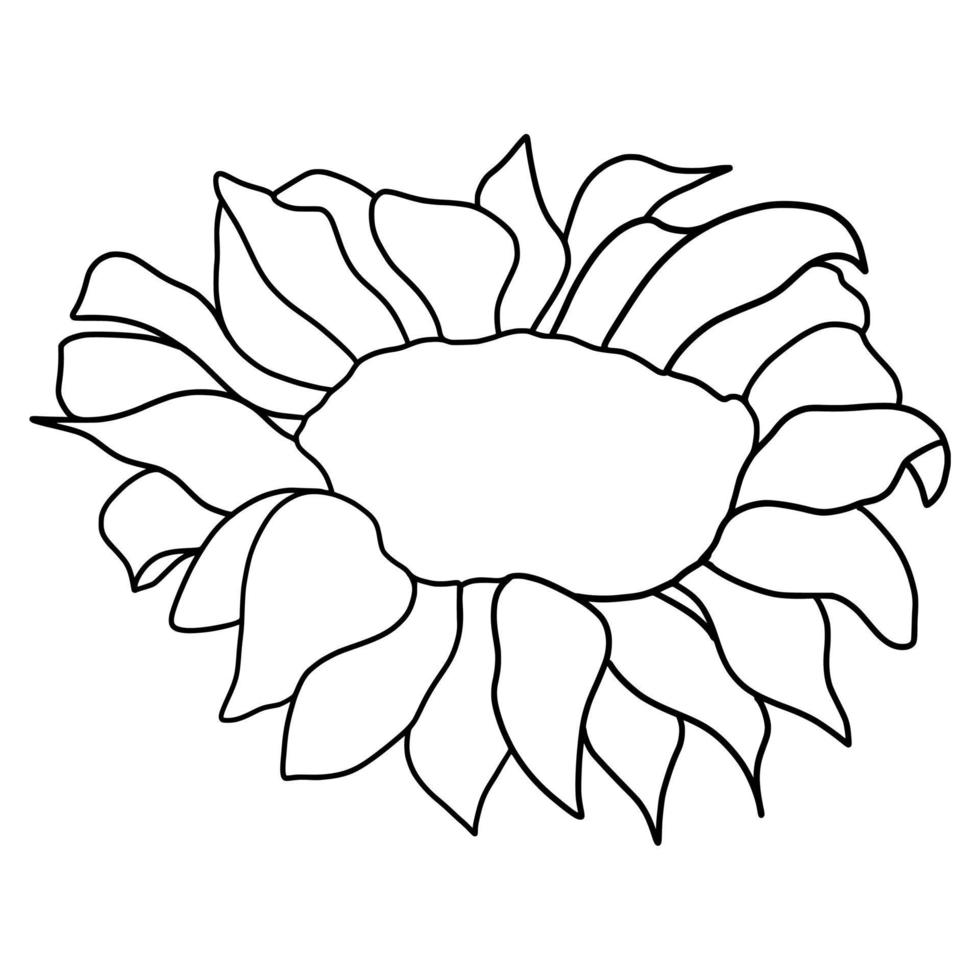 contorno girasol aislado en blanco antecedentes. vector ilustración