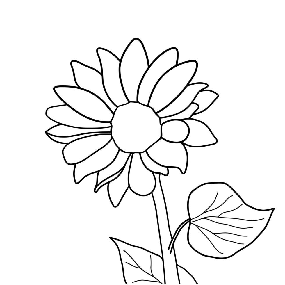 Outline sunflower isolated on white background. Vector illustartion.