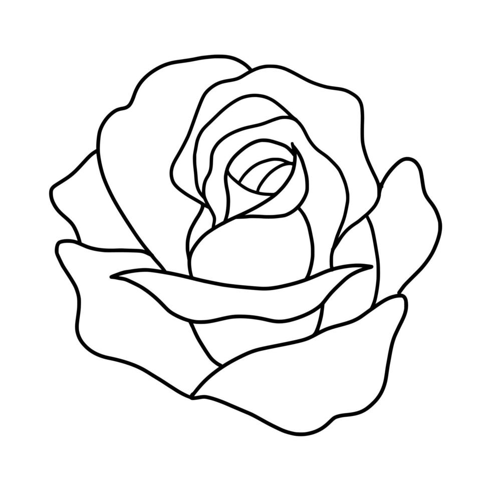 outline rose isolated on white background. vector illustartion