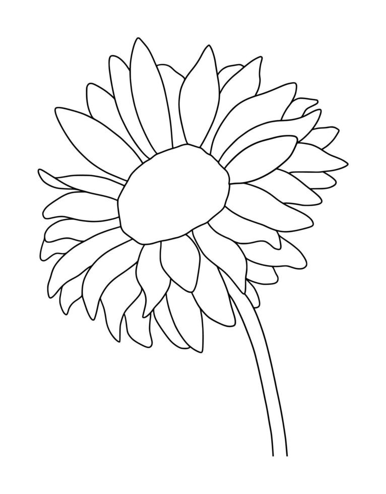 Outline sunflower isolated on white background. Vector illustartion.