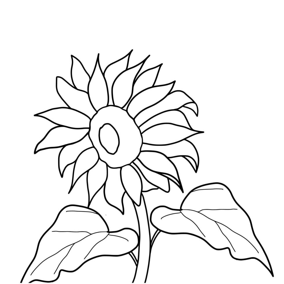 Outline sunflower isolated on white background. Vector illustartion.