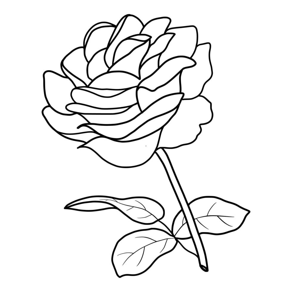 outline rose isolated on white background. vector illustartion 22663001 ...