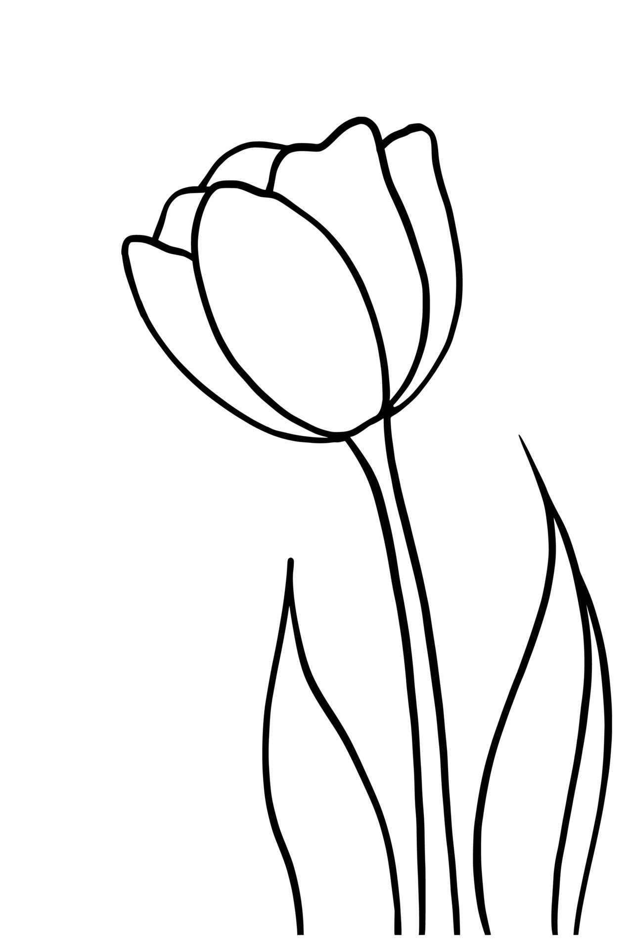 Outline tulip flower isolated on white background 22663014 Vector Art ...