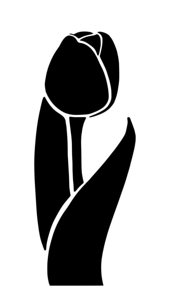 Tulip silhouette isolated on white background. Vector illustartion