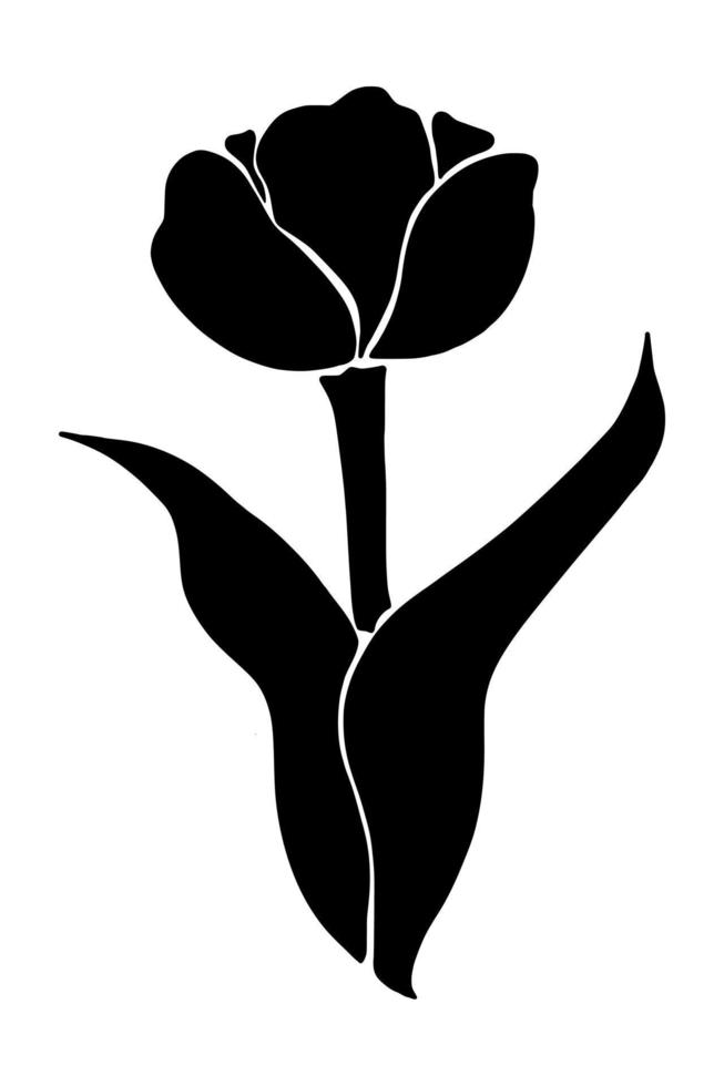 Tulip silhouette isolated on white background. Vector illustartion