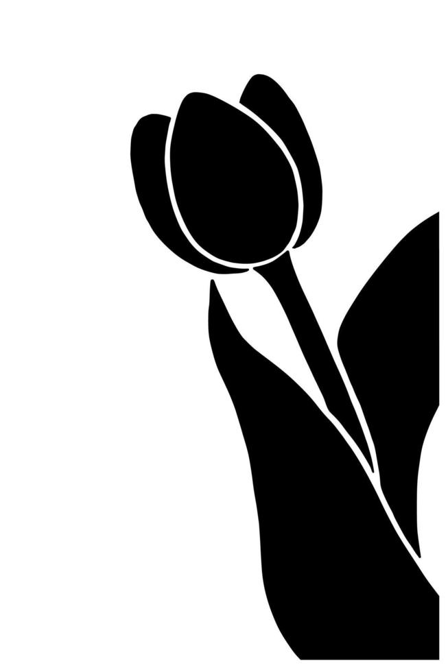 Tulip silhouette isolated on white background. Vector illustartion
