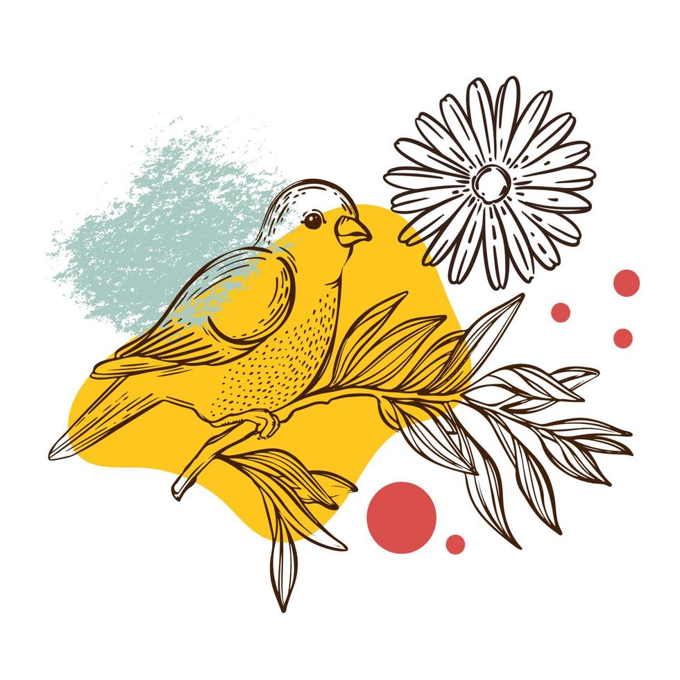 WARBLER ON FLOWER Collage Sketched Bird Packaging Vector