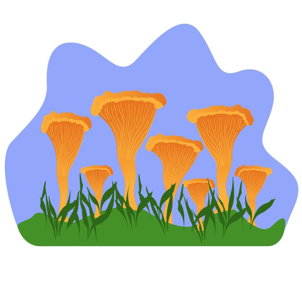Red chanterelle mushrooms, forest plants, isolated vector illustration