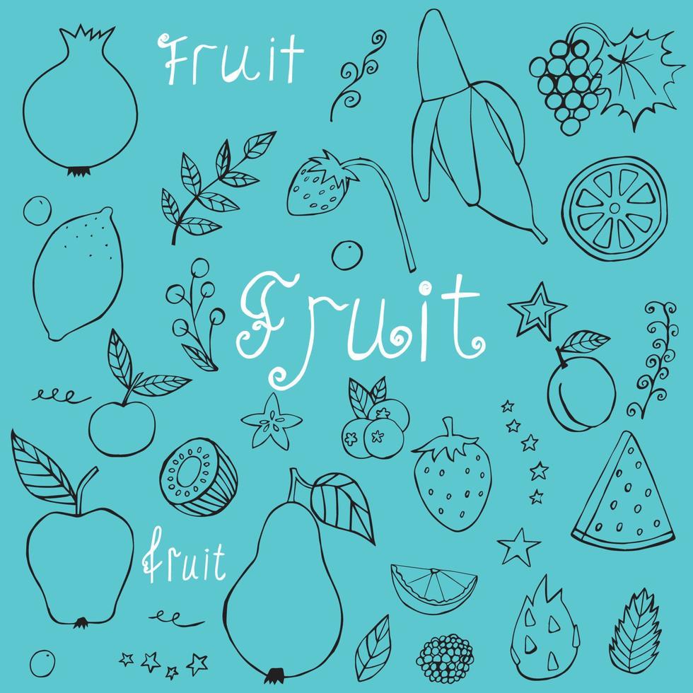 vector doodle fruits on blue background