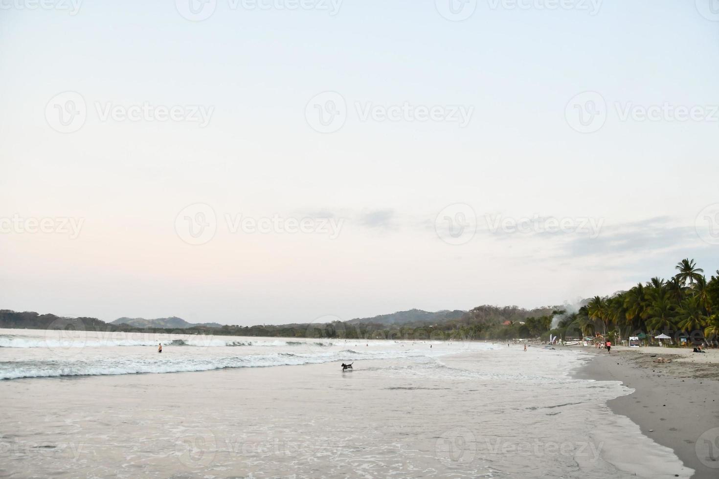 Scenic coastal view photo