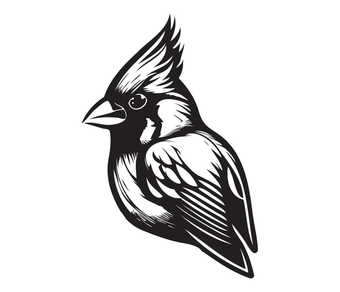 rojo cardenal silueta icono, cardenal pájaro, rojo cardenal vector