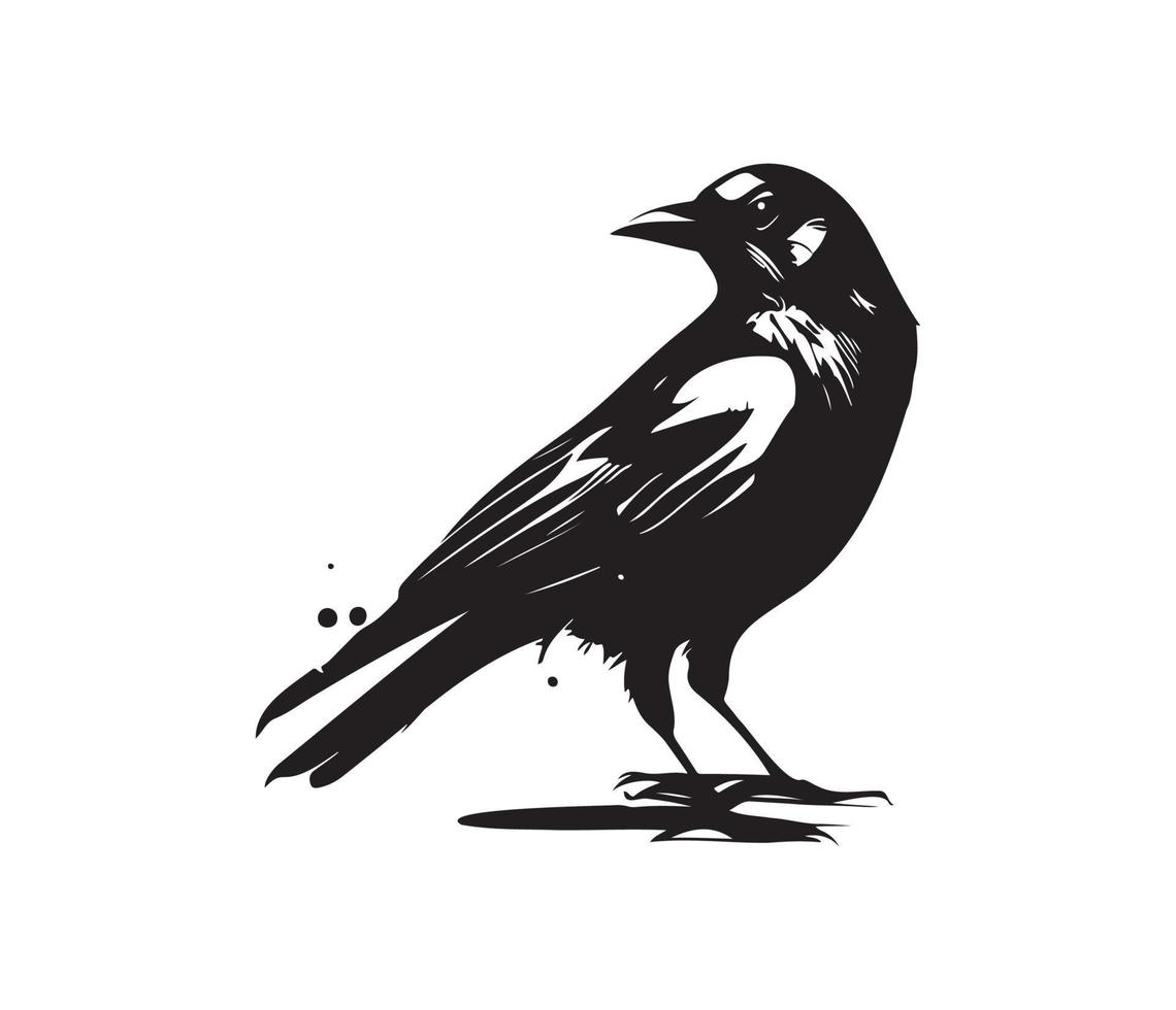 Black birds Raven, crow, rook or jackdaw. Vector illustration in retro style