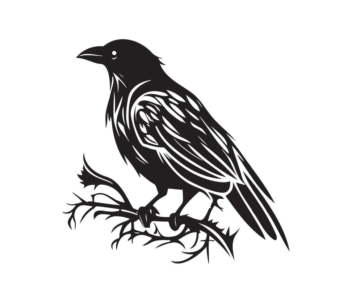 Black birds Raven, crow, rook or jackdaw. Vector illustration in retro style