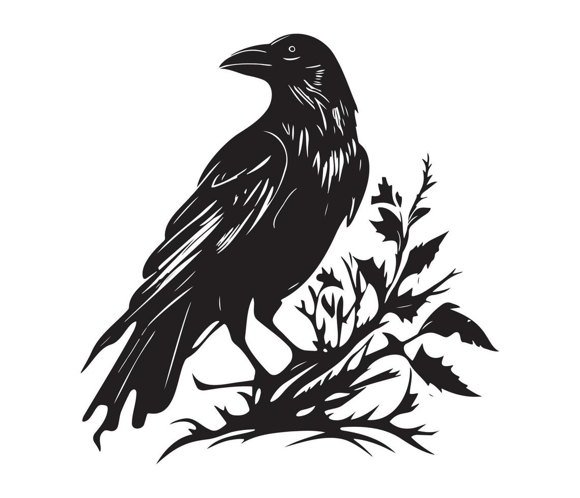 Black birds Raven, crow, rook or jackdaw. Vector illustration in retro style