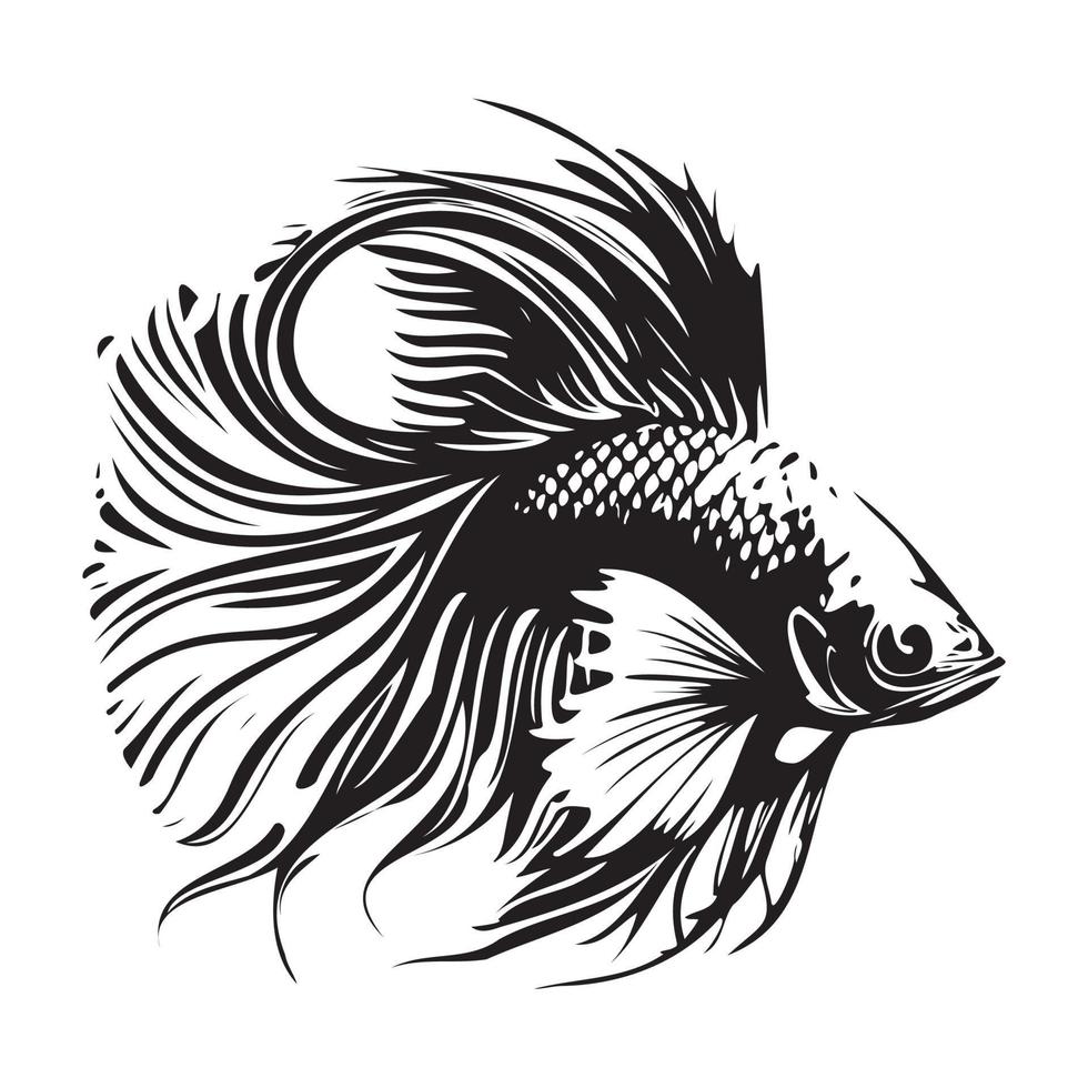 Betta fish vector illustration, fighting fish logo design