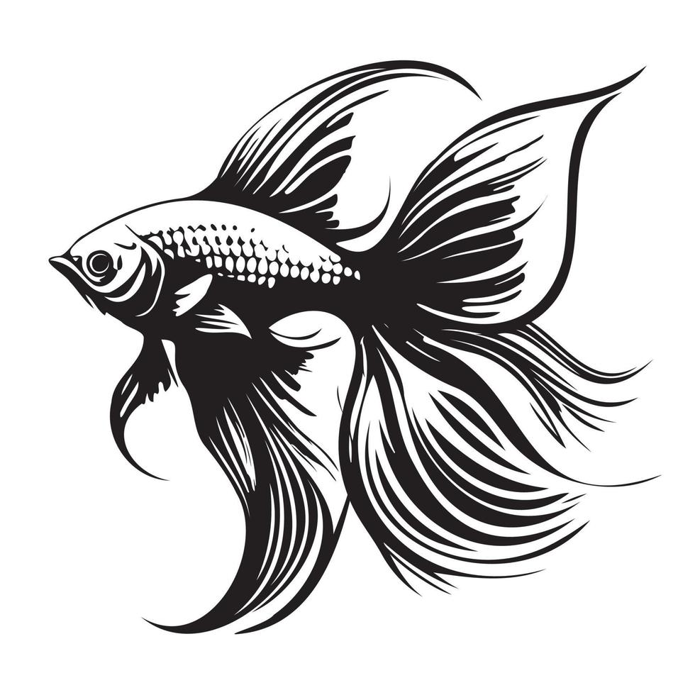 Betta fish vector illustration, fighting fish logo design